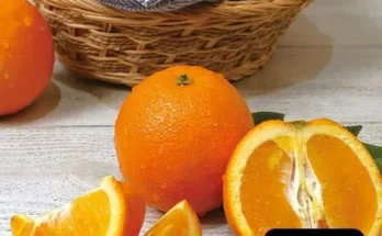 가성비최고 캘리포니아 네이블 고당도 오렌지 7kg  베스트5