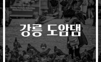 강릉 도암댐의 특징과 관광명소 안내